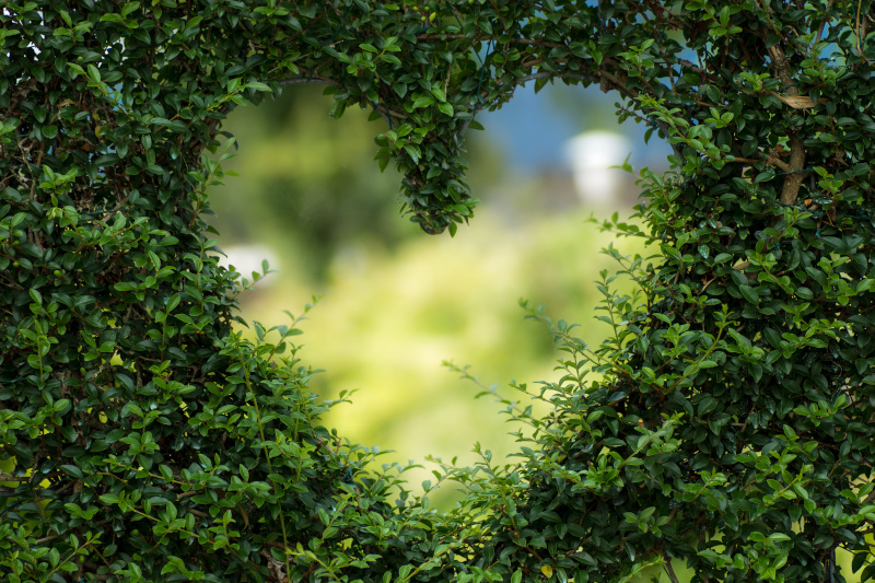 100% of Albéa’s plastic packaging to be circular by 2025
