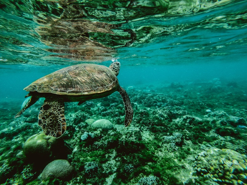 3 ways beauty and personal care brands can break up with plastic