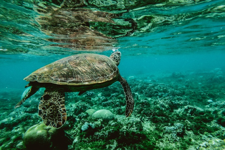 3 ways beauty and personal care brands can break up with plastic 
