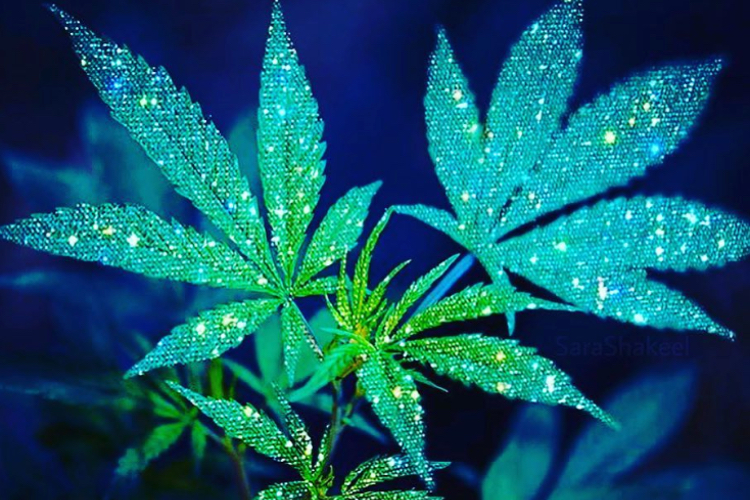 420: 7 cannabis beauty brands making a buzz for Stress Awareness Month 