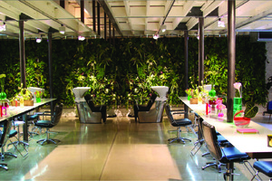 A breath of fresh air for Natura Bissé
