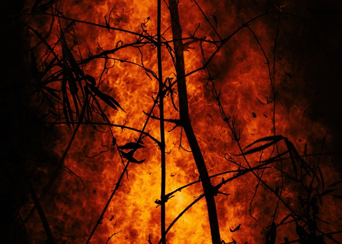 ‘A code red for humanity’: The harsh outlook for beauty in a warmer world 
