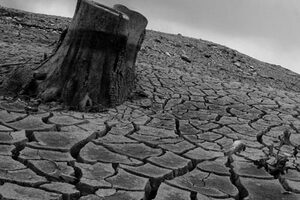 A famine in innovation?