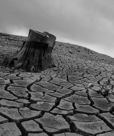 A famine in innovation?