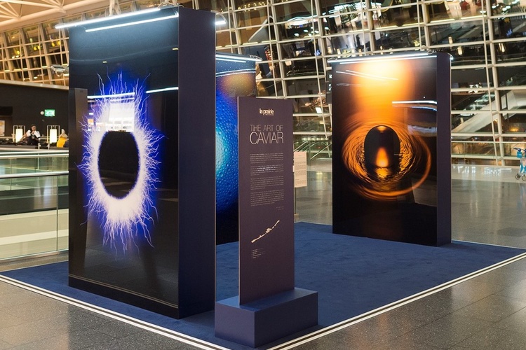 A first look at La Prairie’s interpretive Art of Caviar Exhibition in Zurich