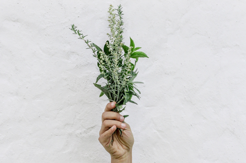 A new biodegradable packaging with rosemary has been developed 
