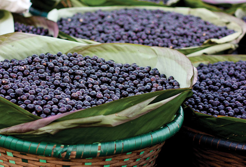 A round-the-world look at the best superfruits for cosmetics