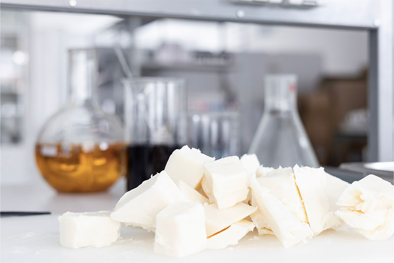 AAK to focus on next-generation formulations, ethical sourcing and interactive experiences at in-cosmetics global 2026