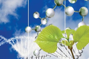 Active ingredient supplier Sytheon updates brochure