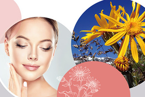 Adeplump - The plumping power of adipocytes