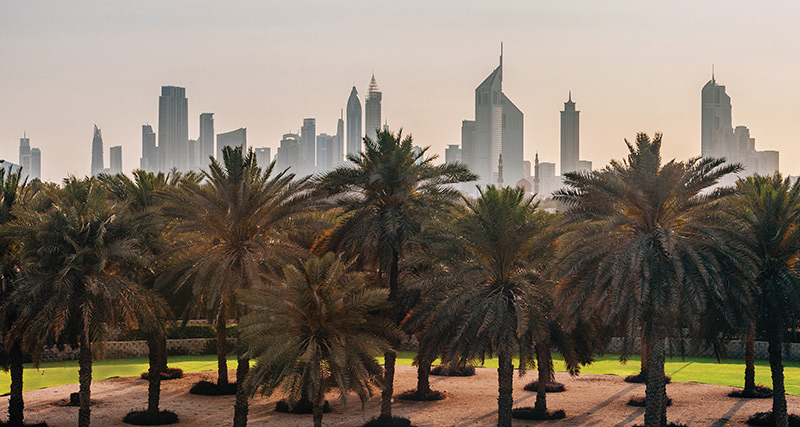 Africa ME - UAE: Natural and Organic Market Report 2017