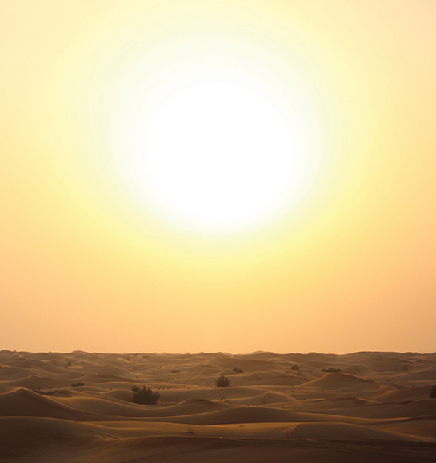 Africa ME - UAE: Sun Care Market Report 2017