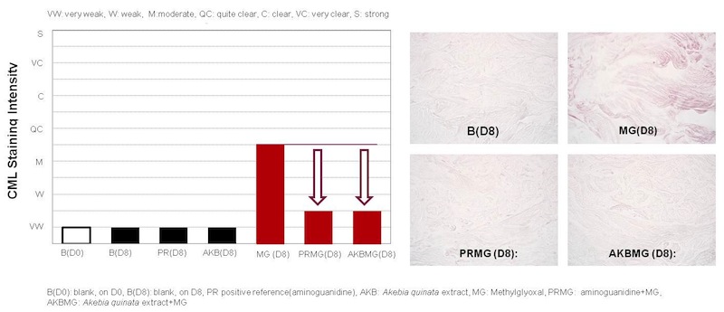  Figure 2.Inhibitory effects of Akebisol on AGEs formation.