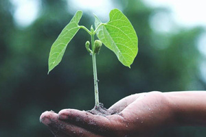 Albéa commits to reduce its absolute carbon emissions by 46% by 2030