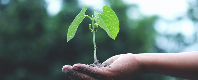 Albéa commits to reduce its absolute carbon emissions by 46% by 2030