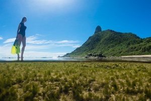 Algae: Beauty’s biggest opportunity