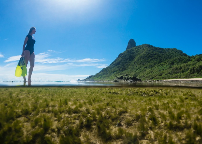 Algae: Beauty’s biggest opportunity