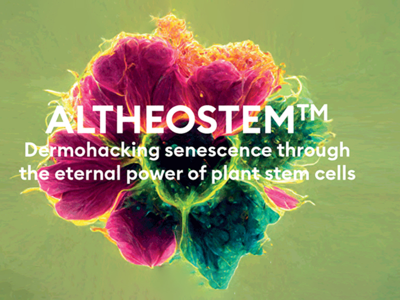 Altheostem - Provital's first dermohacking ingredient
