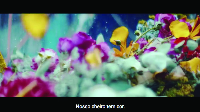 Source: YouTube