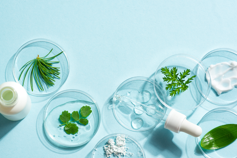 Amorepacific invests in biotech firm Junevity to create ‘next-generation’ skin longevity cosmetics