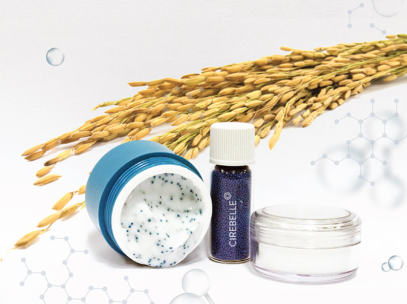 An African, natural exfoliating sphere for a sustainable world