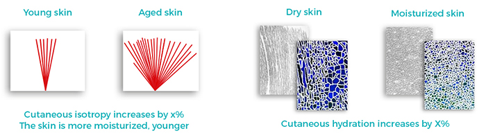 Analysis of the hydration distribution on skin/hair surface