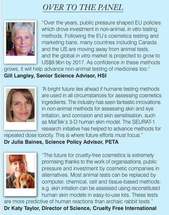 Animal testing: When will more companies go cruelty-free?