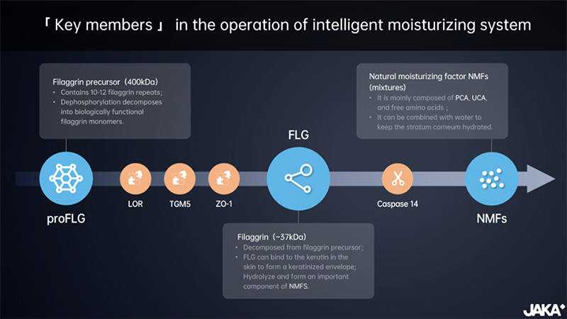 Another SCI article about intelligent moisturising effect pubished by JAKA