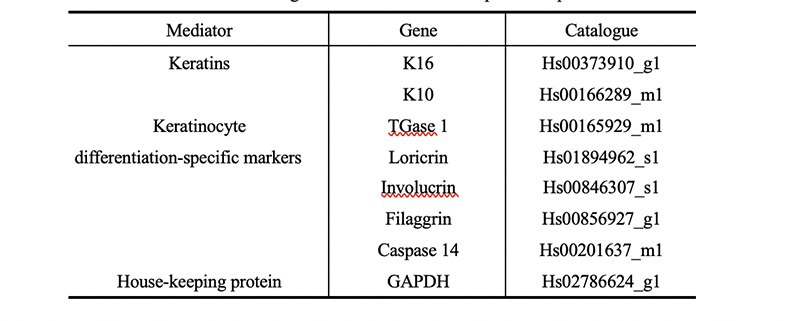 Table 3. The catalogue of sense and antisense primer sequences