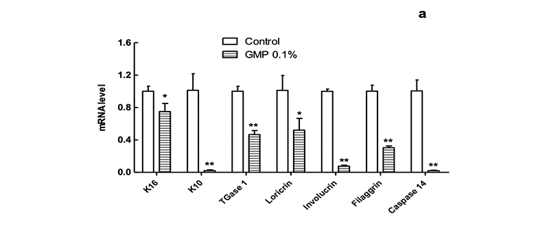 Antibacterial, anti-keratinised and anti-inflammatory effects of the GMP, a multi-herb extraction on acne vulgaris
