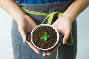 Are 'chimera products' the answer to boosting sustainability?