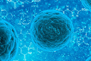 Are consumers being duped by stem cell claims?