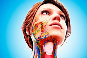 Are your cosmetics putting you at risk of autoimmune diseases?