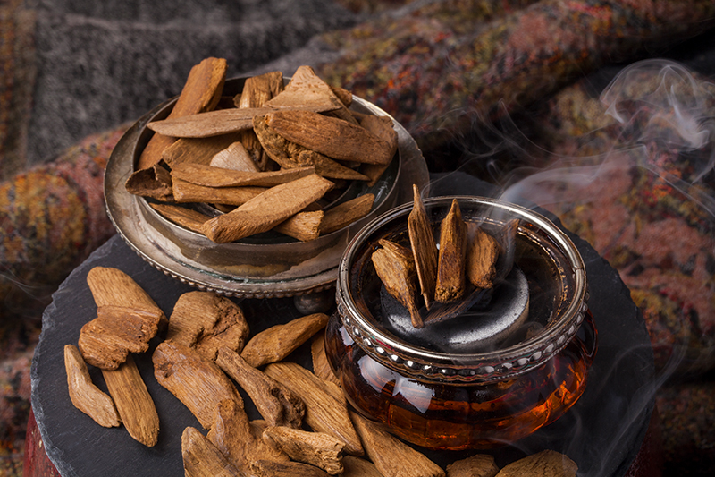 Oud is extracted from the heartwood of Aquilaria trees that have been infected by a specific mould, causing the trees to produce a dark, scented resin