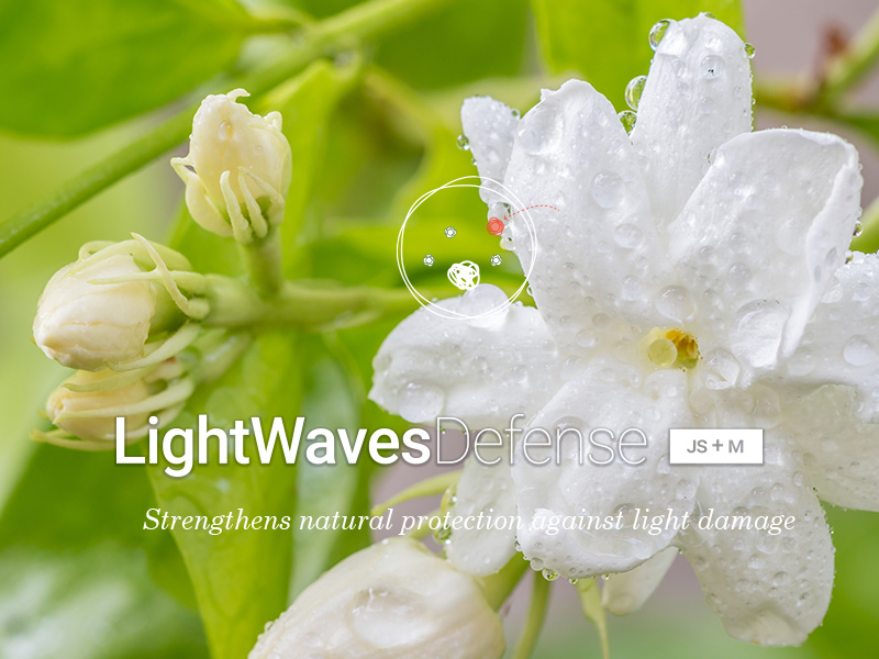An active plant shell to protect skin against light damages:<br>
LightWaves Defense [JS+M]