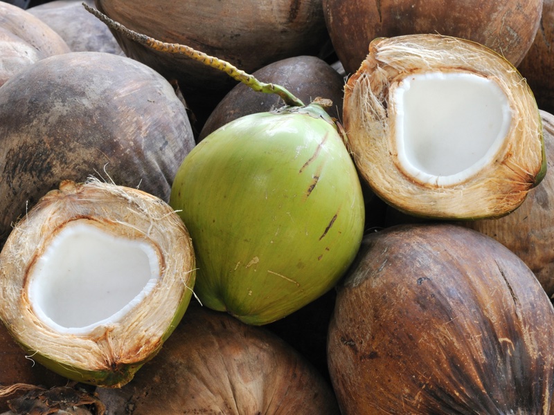 <i>Coconut oil is used to produce ingredients for cosmetics, as well as detergents and cleaning agents</i>
