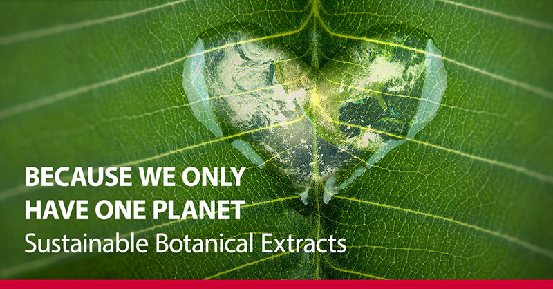 Bell EMEA presents botanical extracts for environmentally friendly products

