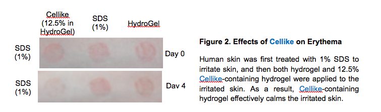 Cellike Skin Lipid Mimicker  for Natural Emulsifier