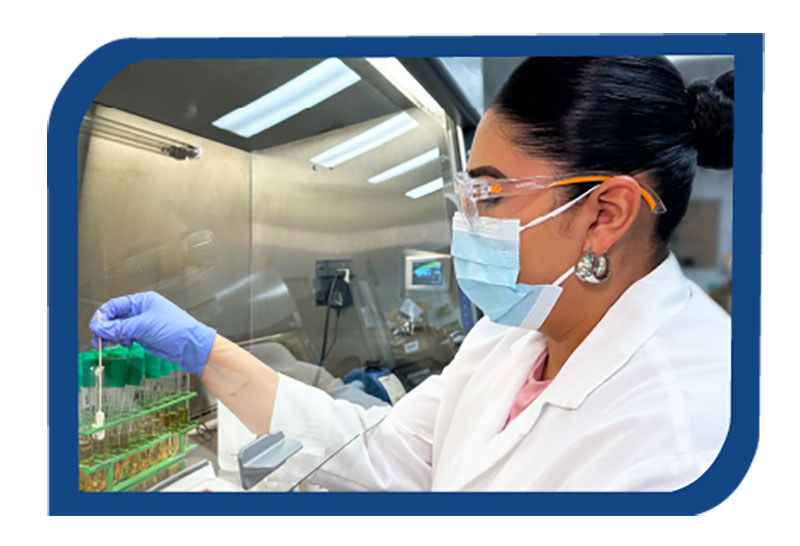 Certified Laboratories