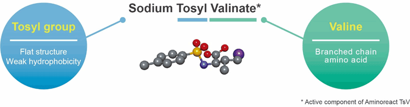 CMC Bonding ingredient for hair volume up “Aminoreact TsV”