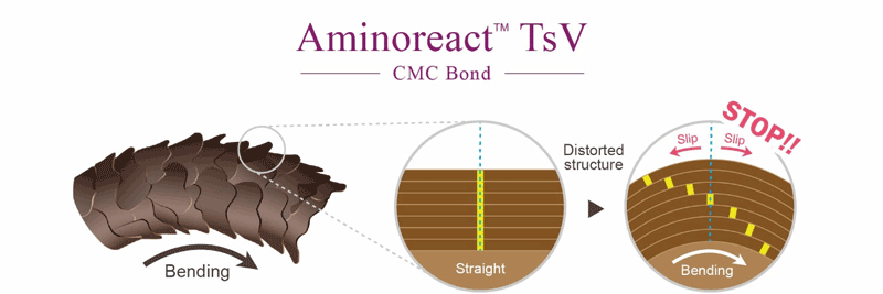 CMC Bonding ingredient for hair volume up “Aminoreact TsV”