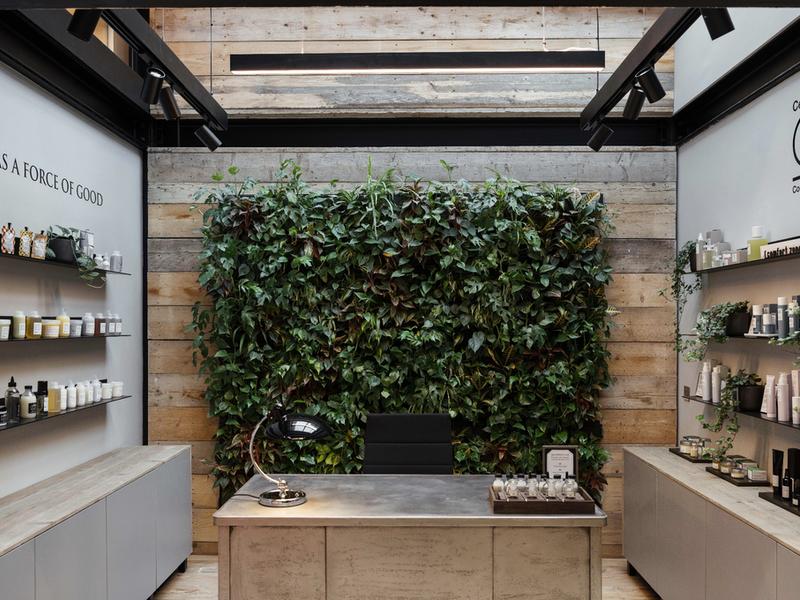 The academy features sustainable decor including a living plant wall