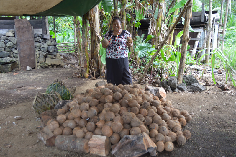 Earthoil Plantations: The coconut craze continues