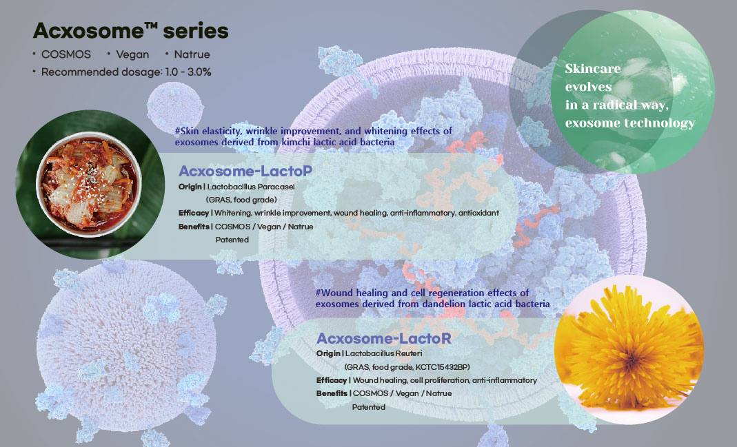 Exosomes derived from plant-based lactic acid bacteria