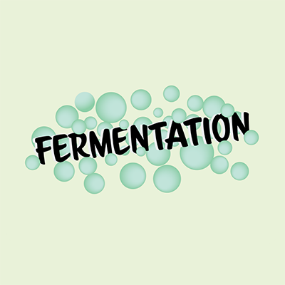 Fermentation product concept launched by Surfachem