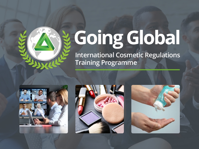 Going Global Training Programme