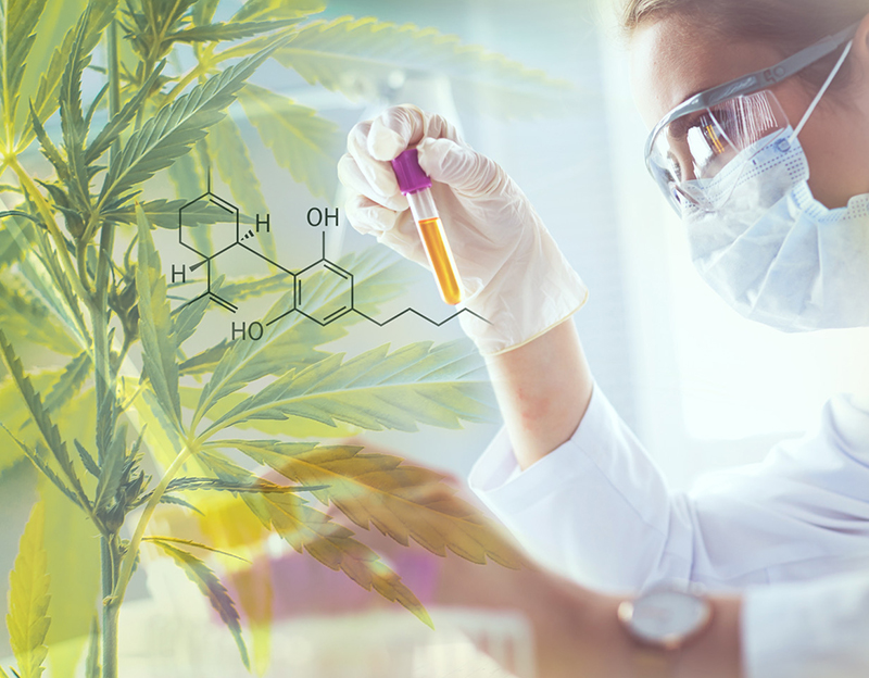 Greentech partners with Phytograde to unlock the potential of CBD and phytocannabinoids
