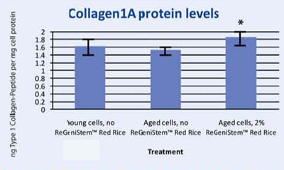 <i>Graph 3. Protein assay showing the effect of ReGeniStem™ Red Rice on collagen synthesis</i>