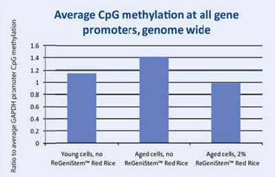 <i>Graph 1. Average Global CpG methylation at the promoter region with ReGeniStem™ Red Rice treatment</i>