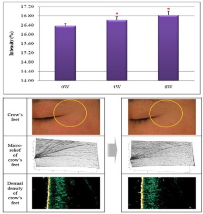 Figure 4. Anti-wrinkle effect of HerbEx Korean Ginseng Extract on clinical study.
